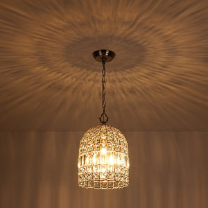 LightFixturesUSA - French Antique Brass Crystal Cage Chandelier - Chandelier - S/Nickel - 