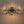 LightFixturesUSA - Glam Bloom 12 - Light Blue Glass Bubble Semi Flush Chandelier - Chandelier - Black - Semi Flush - 
