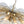 LightFixturesUSA - Glam Brass Ribbed Glass Floral Round Basket Chandelier - Chandelier - 28 in - 