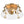 LightFixturesUSA - Mid - Century Clear Textured Glass Drum Flush Mount Light - Ceiling Light - Brass - 