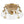 LightFixturesUSA - Mid - Century Clear Textured Glass Drum Flush Mount Light - Ceiling Light - Brass - 