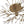 Load image into Gallery viewer, LightFixturesUSA - Mid - Century Firework Crystal Branching Semi Flush Mount - Ceiling Light - Gold - 
