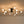 LightFixturesUSA-Mid-Century Flush Mount Sputnik Ceiling Light-Ceiling Light-Black-