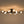 LightFixturesUSA-Mid-Century Flush Mount Sputnik Ceiling Light-Ceiling Light-Black-