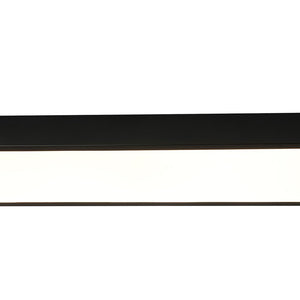 LightFixturesUSA - Minimalist Long Oval Dimmable LED Flush Mount Ceiling Light - Ceiling Light - Black - 