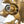 LightFixturesUSA - Modern Brass 12 - Light Cluster Glass Globe Bubble Chandelier - Chandelier - Brass - 