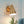 Load image into Gallery viewer, LightFixturesUSA - Modern Funky 1 - Light Starry Pinhole Cone Wall Sconce - Wall Sconce - Brass - 
