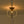 LightFixturesUSA-Orrery Brass Layered Ring 1-Light Glass Globe Semi Flush Mount-Ceiling Light-Brass-