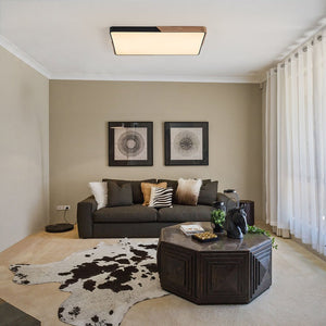 LightFixturesUSA - Rectangle LED Flush Mount Light - Ceiling Light - Black (Pre - Order) - 