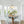 LightFixturesUSA-Scandinavian 1-Light Ribbed Glass Dome Kitchen Pendant-Pendant Light-Clear Glass-