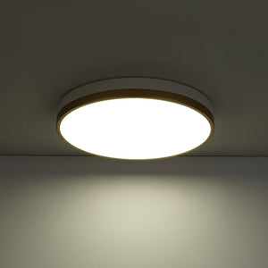 LightFixturesUSA - Scandinavian Round Dimmable LED Ceiling Light DIP Switch - Ceiling Light - White+Gold - 
