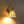 Load image into Gallery viewer, LightFixturesUSA - Sculptural Bloom 1 - Light Brass Capiz Shell Glass Wall Sconce - Wall Sconce - 2 Packs - 
