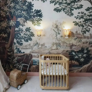 LightFixturesUSA - Sculptural Bloom 1 - Light Brass Capiz Shell Glass Wall Sconce - Wall Sconce - 2 Packs - 