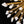 LightFixturesUSA - Sculptural Sunburst Bloom Frosted Quartz Dandelion Chandelier - Chandelier - Brass - 