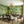 LightFixturesUSA - Sculptural Sunburst Bloom Frosted Quartz Dandelion Chandelier - Chandelier - Brass - 