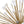 LightFixturesUSA - Sculptural Sunburst Bloom Frosted Quartz Dandelion Chandelier - Chandelier - Brass - 