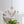 Load image into Gallery viewer, LightFixturesUSA - Shabby Chic 6 - Light Crystal Empire Candle Chandelier - Chandelier - 27.6 in. - 
