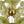LightFixturesUSA - Summer Art Deco Bloom Green Lotus Leaf Sunburst Chandelier - Chandelier - Brass - 