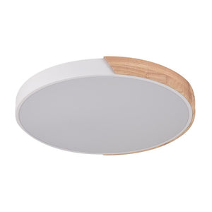 LightFixturesia-Minimalist LED Flush Mount Drum Light-Flush Mount Light-White-Natural White