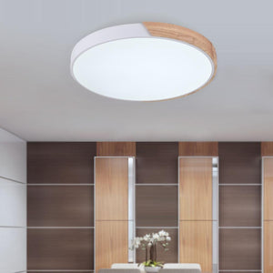 LightFixturesia-Minimalist LED Flush Mount Drum Light-Flush Mount Light-White-Natural White