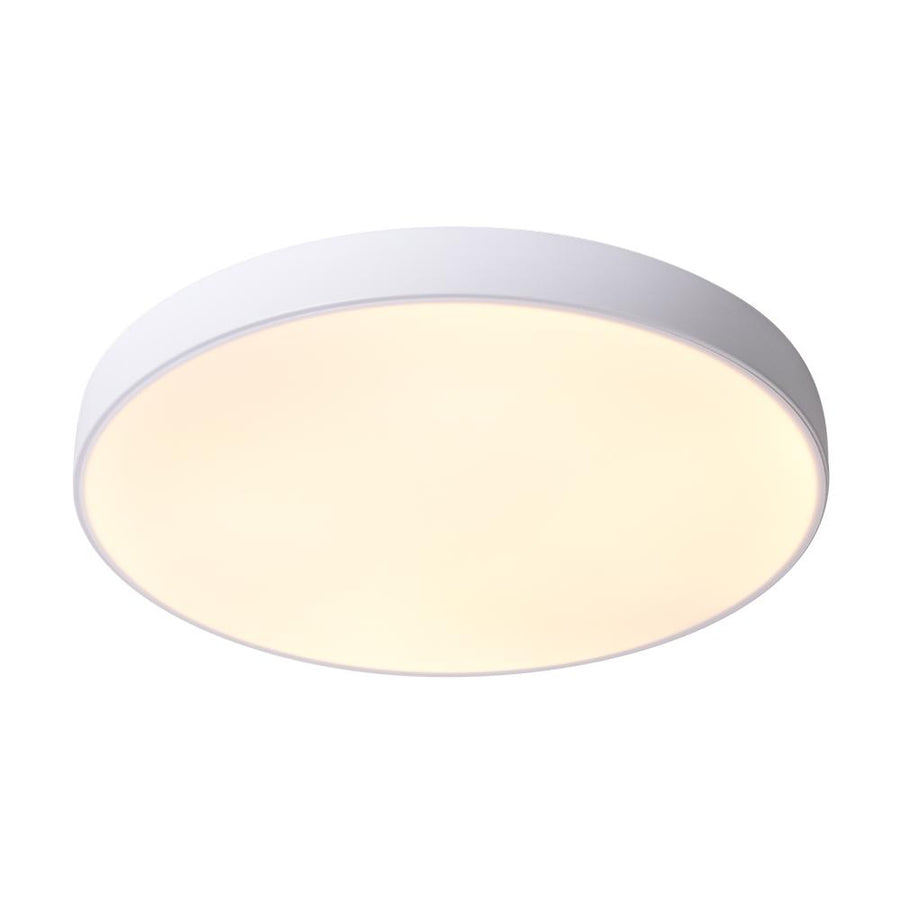 LightFixturesia-Modern Minimalist LED Drum Flush Mount Ceiling Light-Flush Mount Light-White-Warm White
