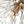 LightFixturesia-Stunning Crystal Firework Sputnik Chandelier-Chandelier-Glod-