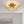 Load image into Gallery viewer, LightFixturesUSA-12-Light Sunburst Sputnik Flush Mount Chandelier-Ceiling Light-Gold-

