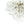 LightFixturesUSA-Luxury Brass Cluster Clear Glass Globe Bubble Chandelier-Chandelier-Brass (Pre-Order)-