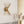 Load image into Gallery viewer, LightFixturesUSA-Mid Century 2-Light Sunburst Wall Sconce-Wall Sconce-Brass-
