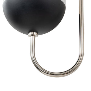 LightFixturesUSA-Modern 2-Light Double Goose Arm Globe Wall Sconce-Wall Sconce-Nickel-