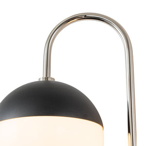 LightFixturesUSA-Modern 2-Light Double Goose Arm Globe Wall Sconce-Wall Sconce-Nickel-