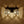 LightFixturesUSA-Modern Glam Crystal Bathroom Vanity Light-Wall Sconce-Black+Gold-4-Lt