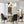 LightFixturesUSA-Opal Glass Globe Sputnik Chandelier-Chandelier--