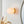 LightFixturesUSA-Simple Gold 1-light Frosted Glass Egg Wall Light-Wall Sconce-1-Lt-